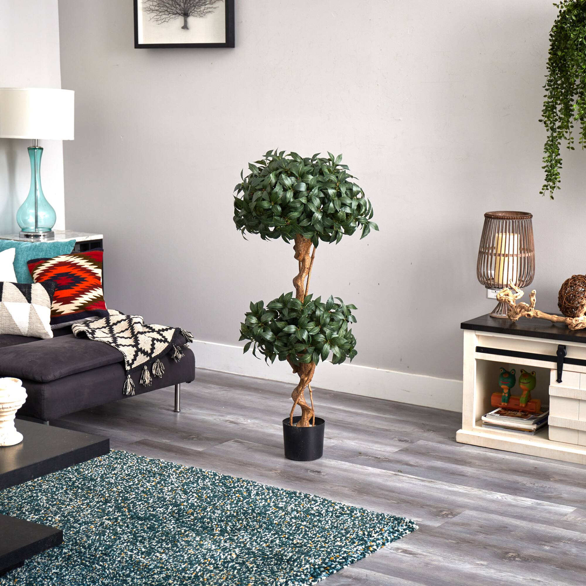4ft. Potted Sweet Bay Double Ball Topiary Tree